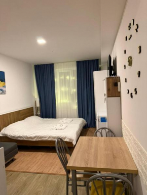 Bakuriani- Tribu Apart Hotel N 201